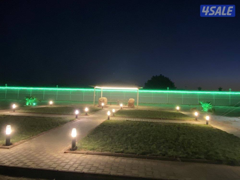 مزارع الوفرة0