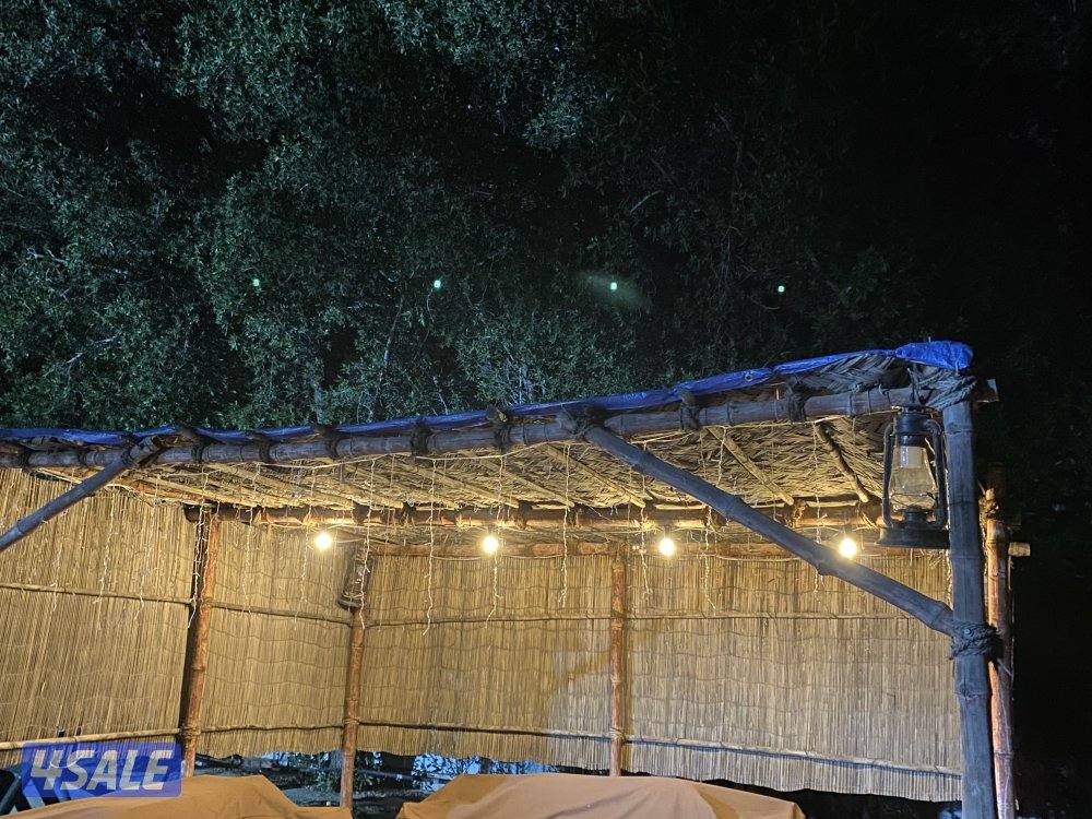 مزارع الوفرة4