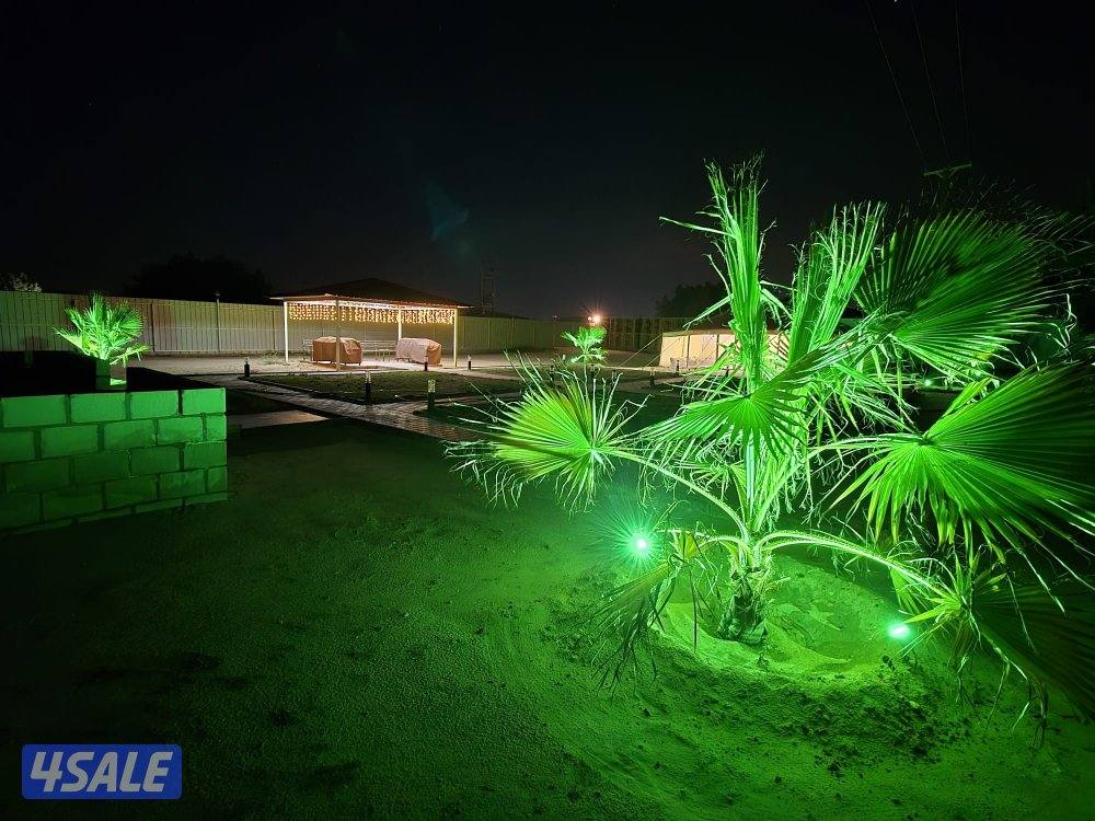 مزارع الوفرة9