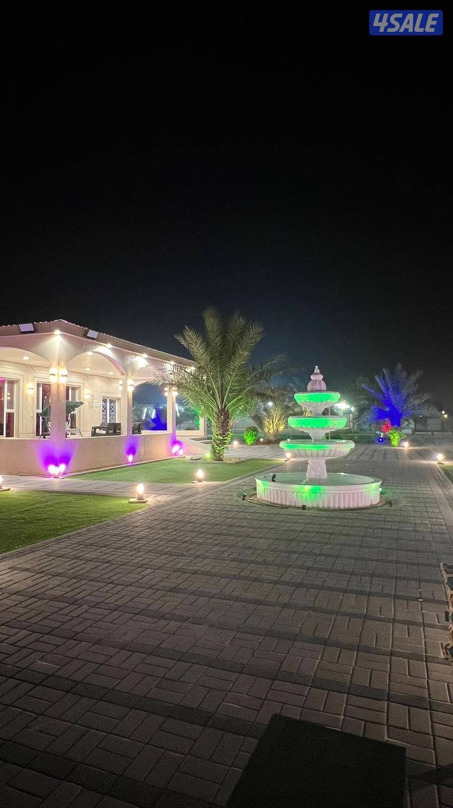 مزارع الوفرة10