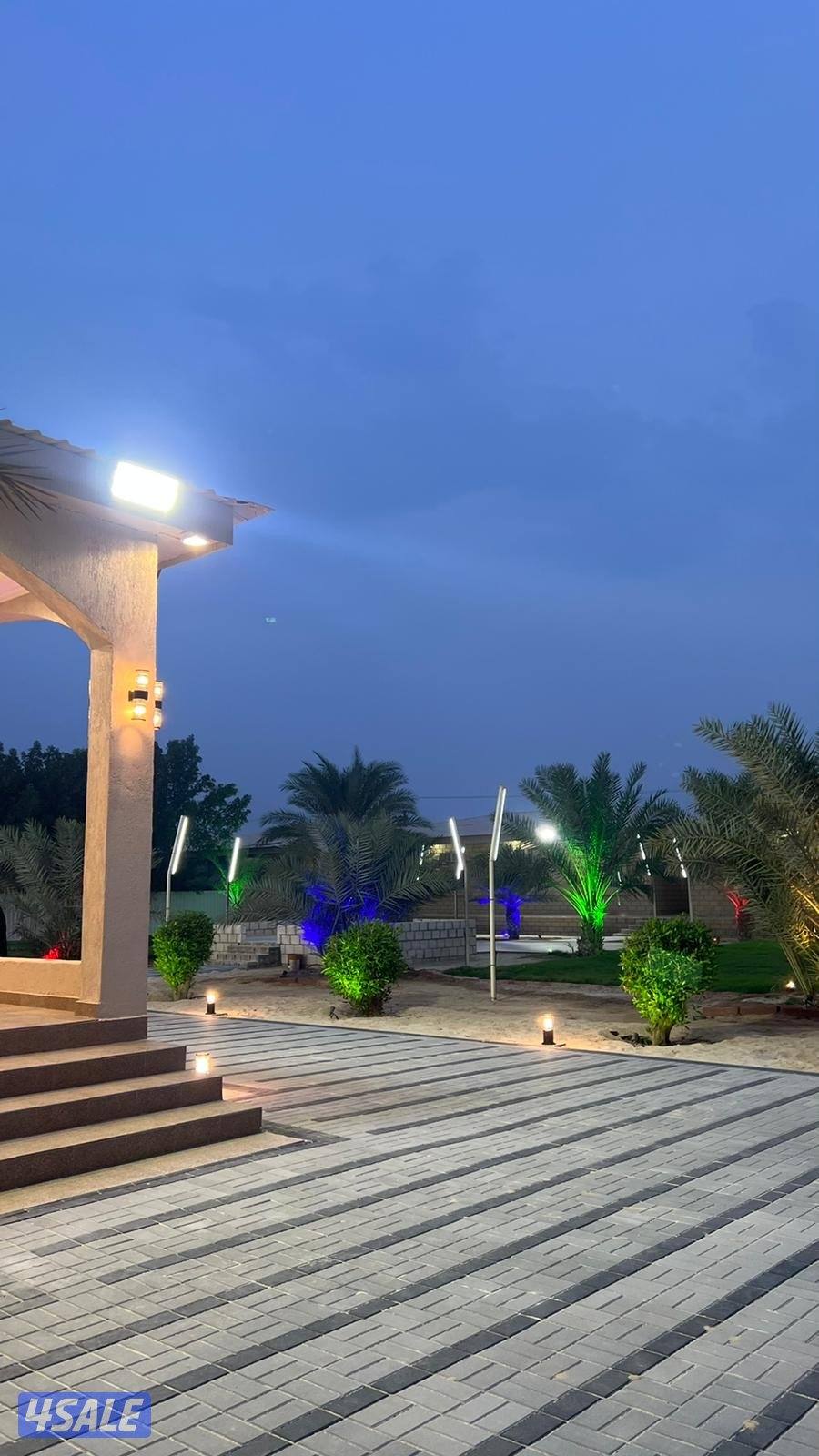 مزارع الوفرة13