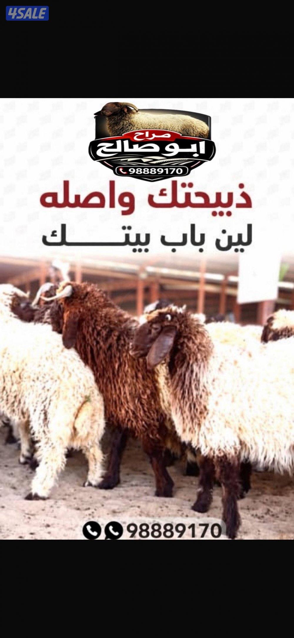 متوفر جميع أنواع الذبايح خدمة وخدمة الذبح والتقطيع والتوصيل مجانا1