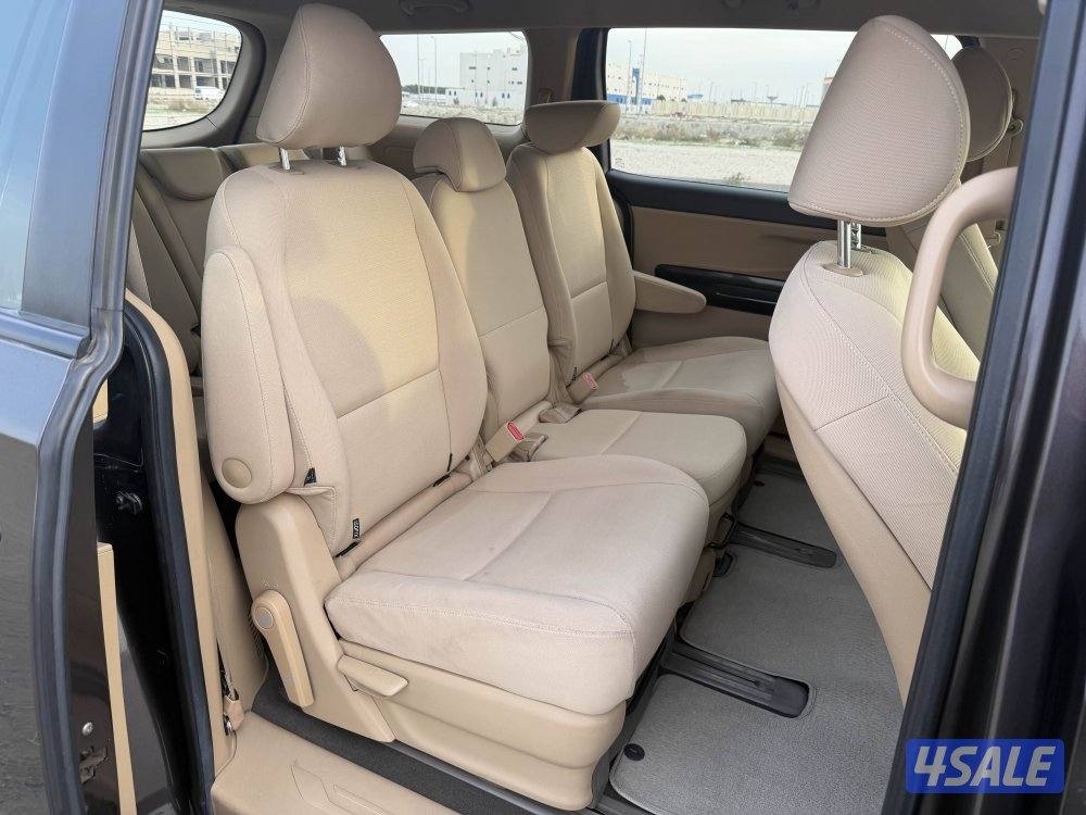 كرنفال 2017 شرط فحص7