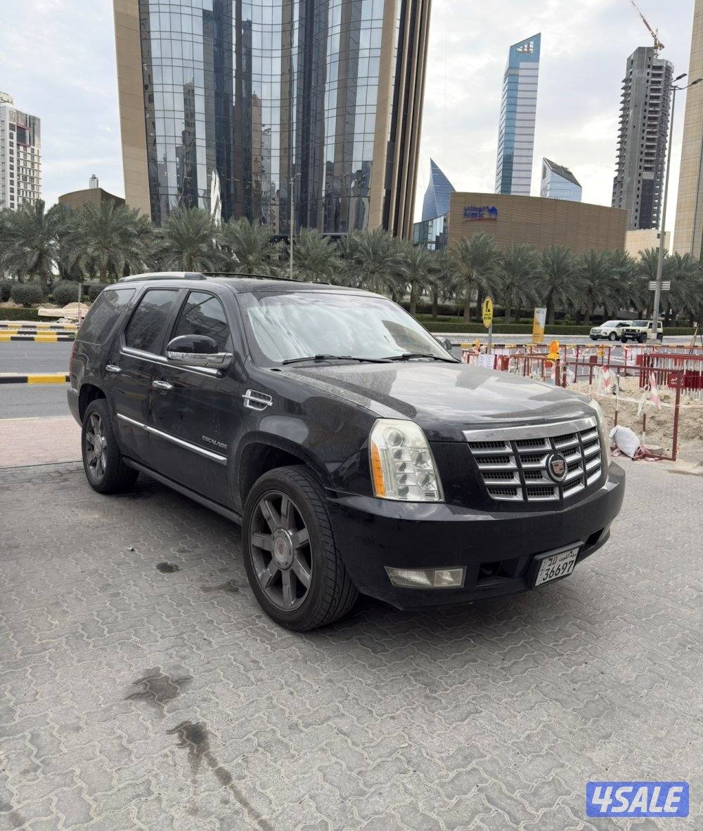 سكاليد 2010 - ممشى 215 نظيف0