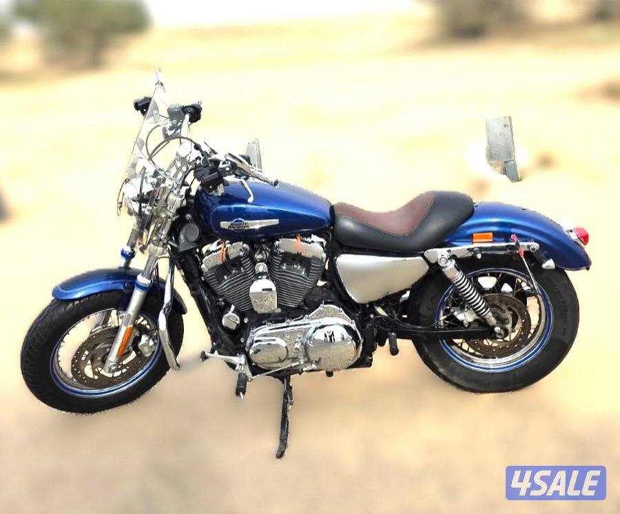 Harley Davidson Sportster 1200 Custom0