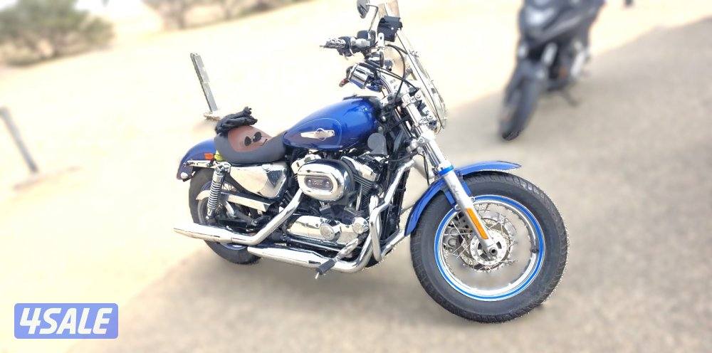 Harley Davidson Sportster 1200 Custom1