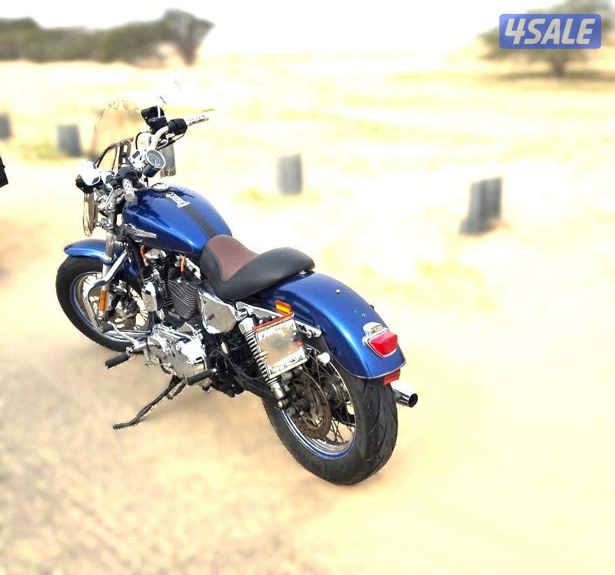 Harley Davidson Sportster 1200 Custom2