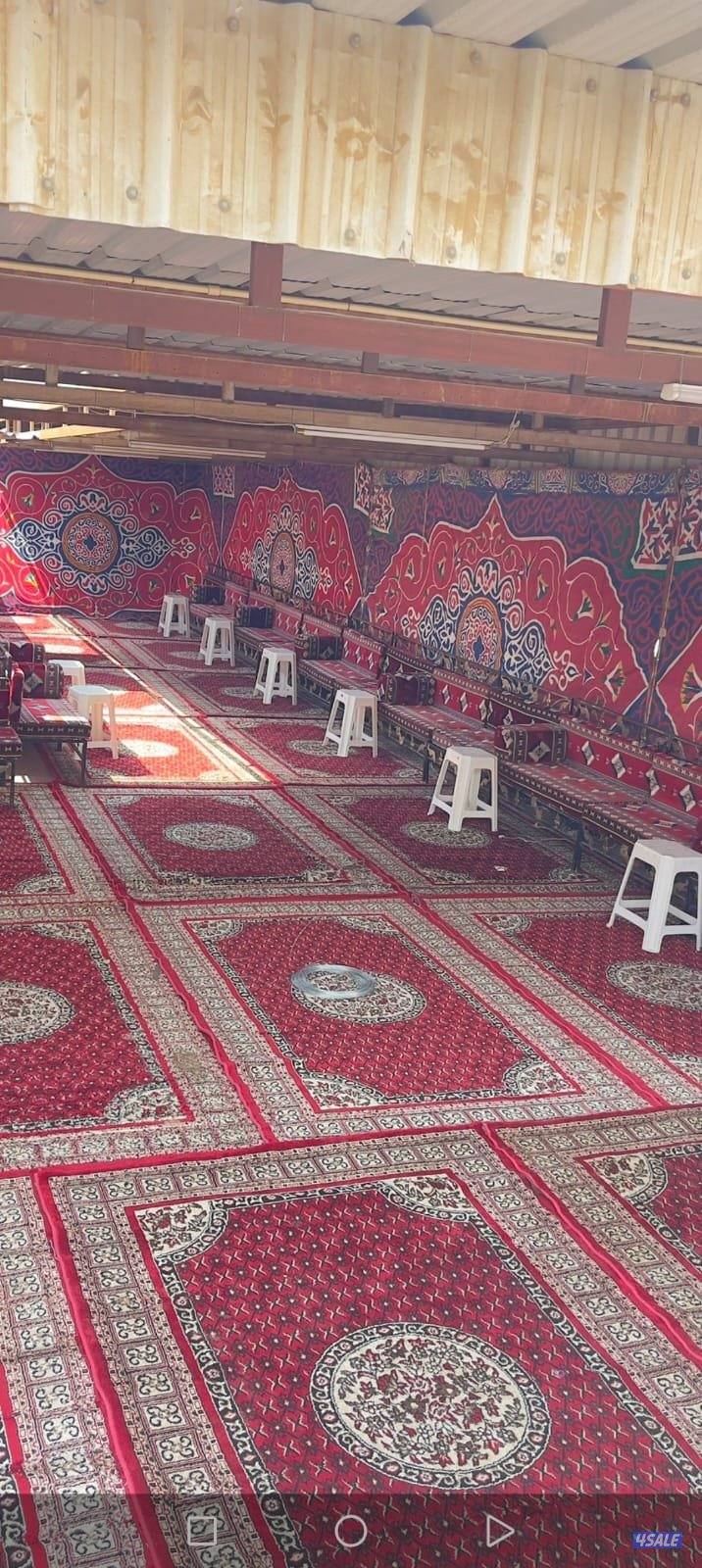 زينه افراح الكويت تاجير خيام كرسي1