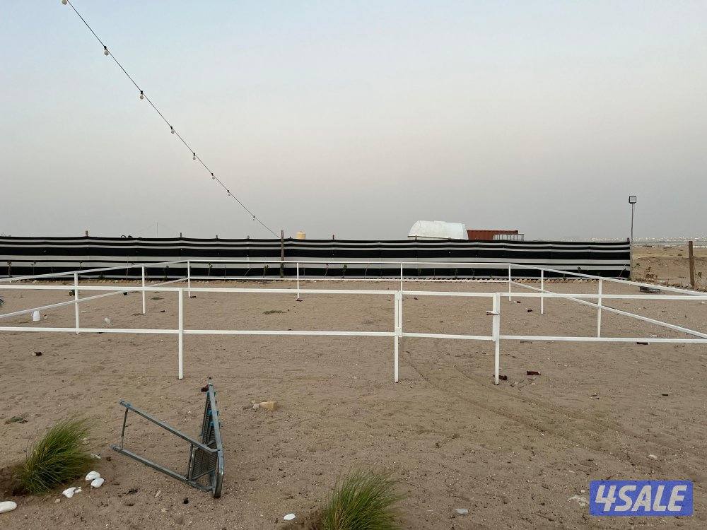 بناجر خيل وربل10