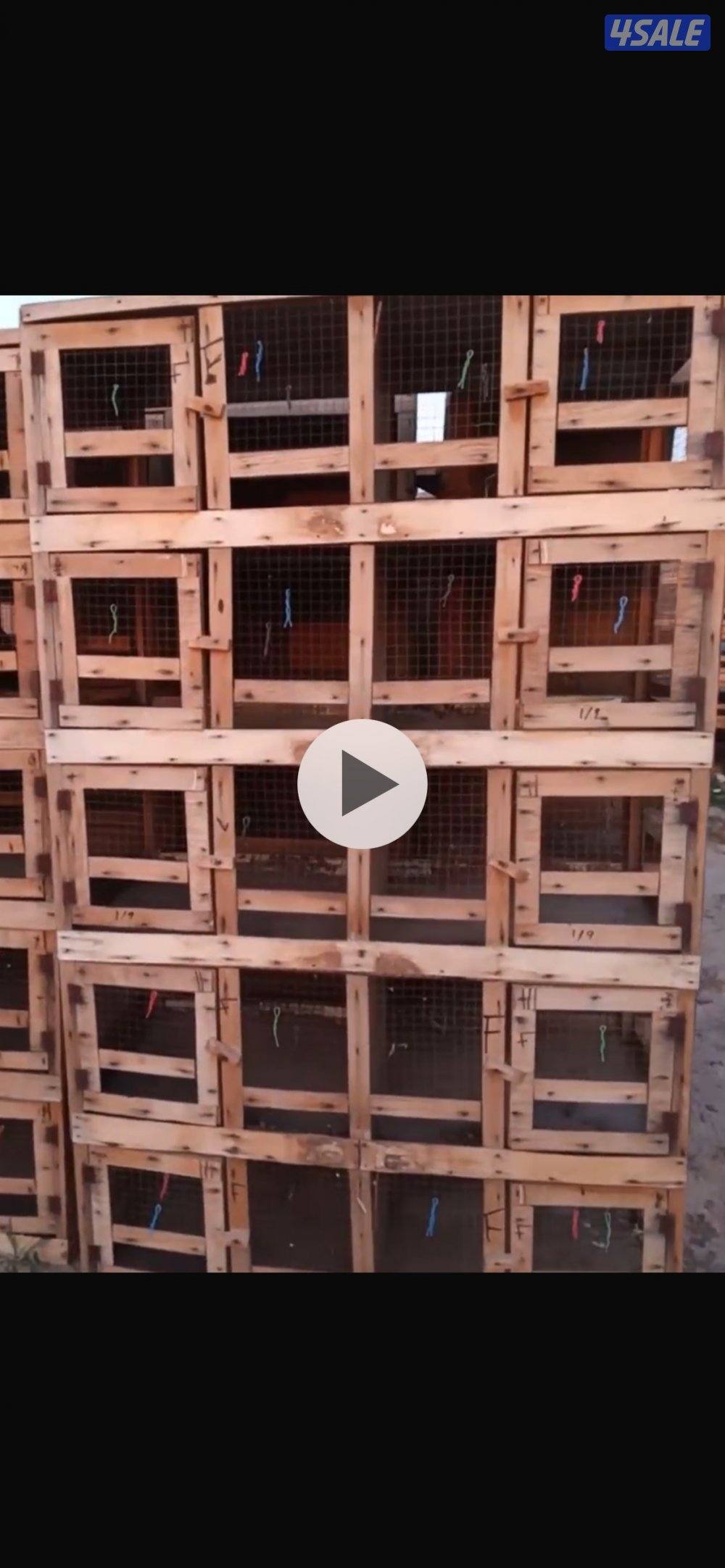 للبيع خانات ام عشر خشب0