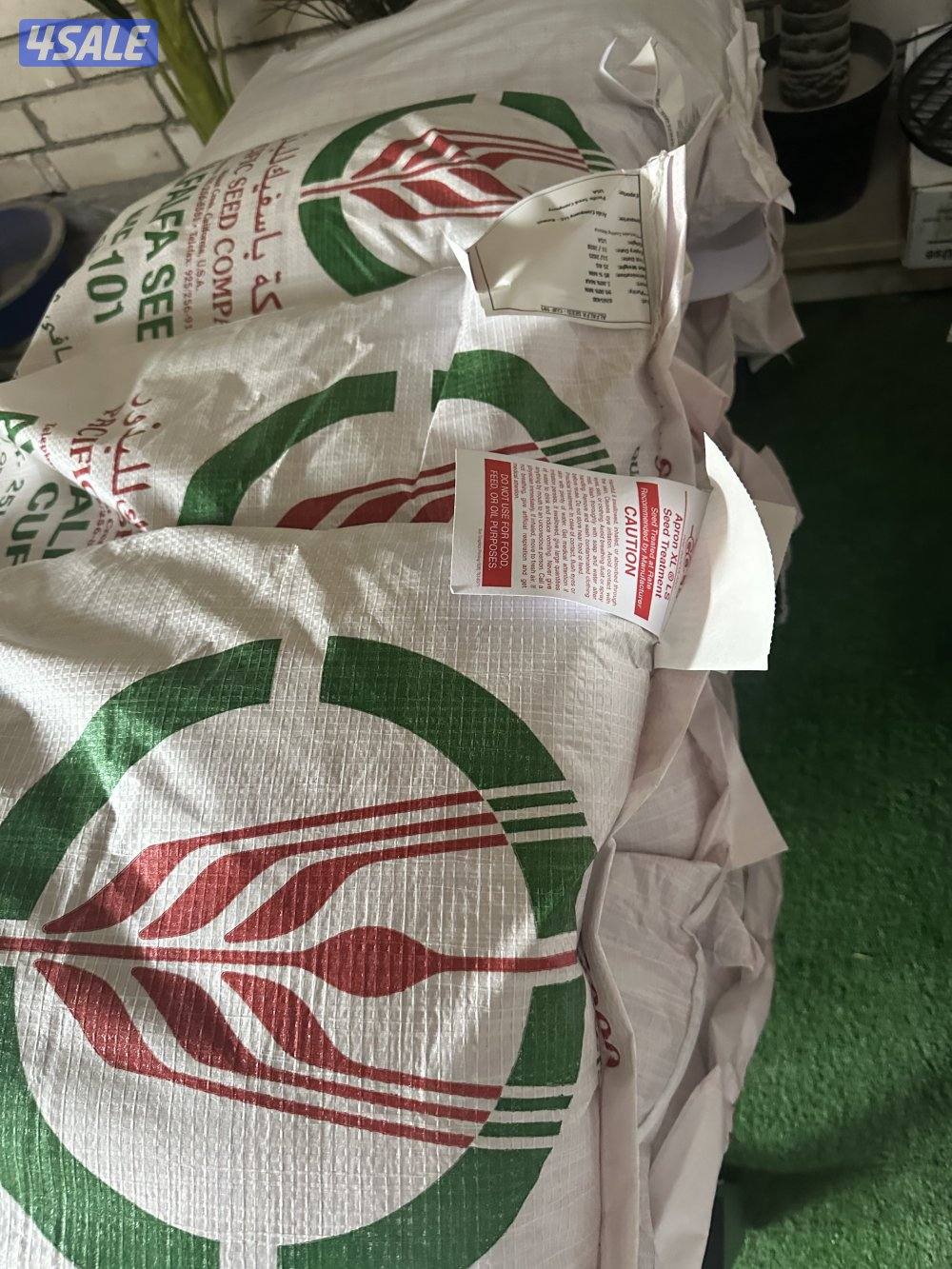 بذور برسيم امريكي باسفيك0