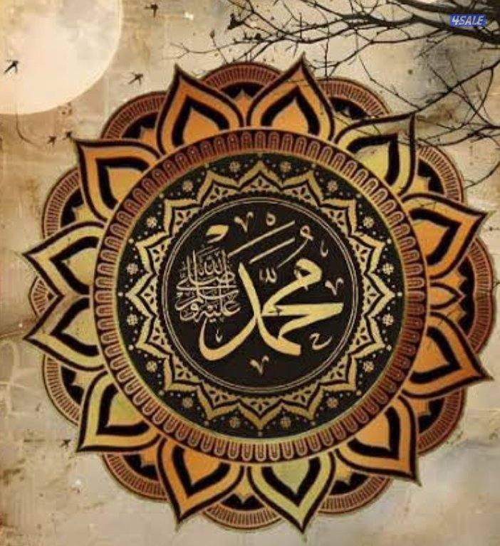 للايجار شقه صباح الناصر0