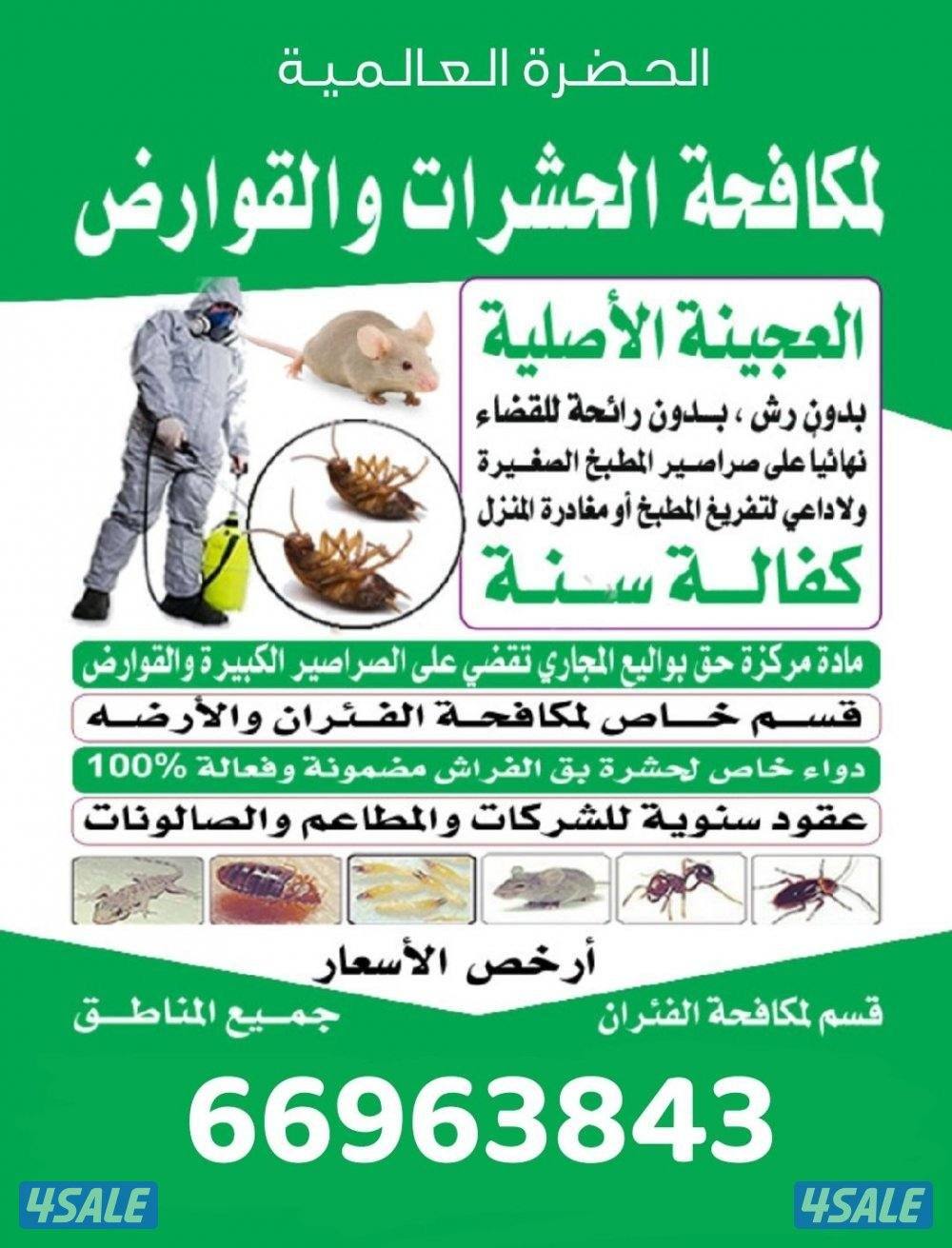 مكافحه حشرات والقضاء على الصراصير نهائيا ومكافحه فيران والجراج والبريا0