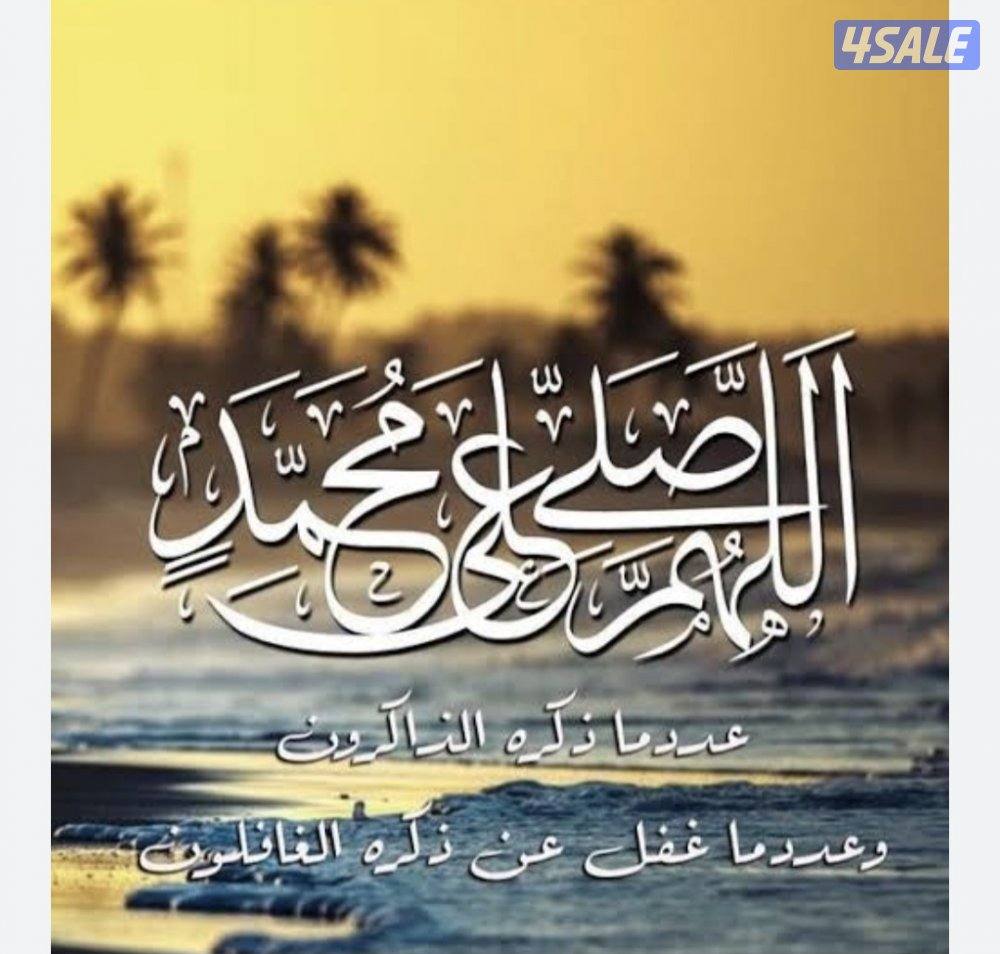 مدرس لغة عربية وتربيه إسلامية ومحفظ قرآن كريم0