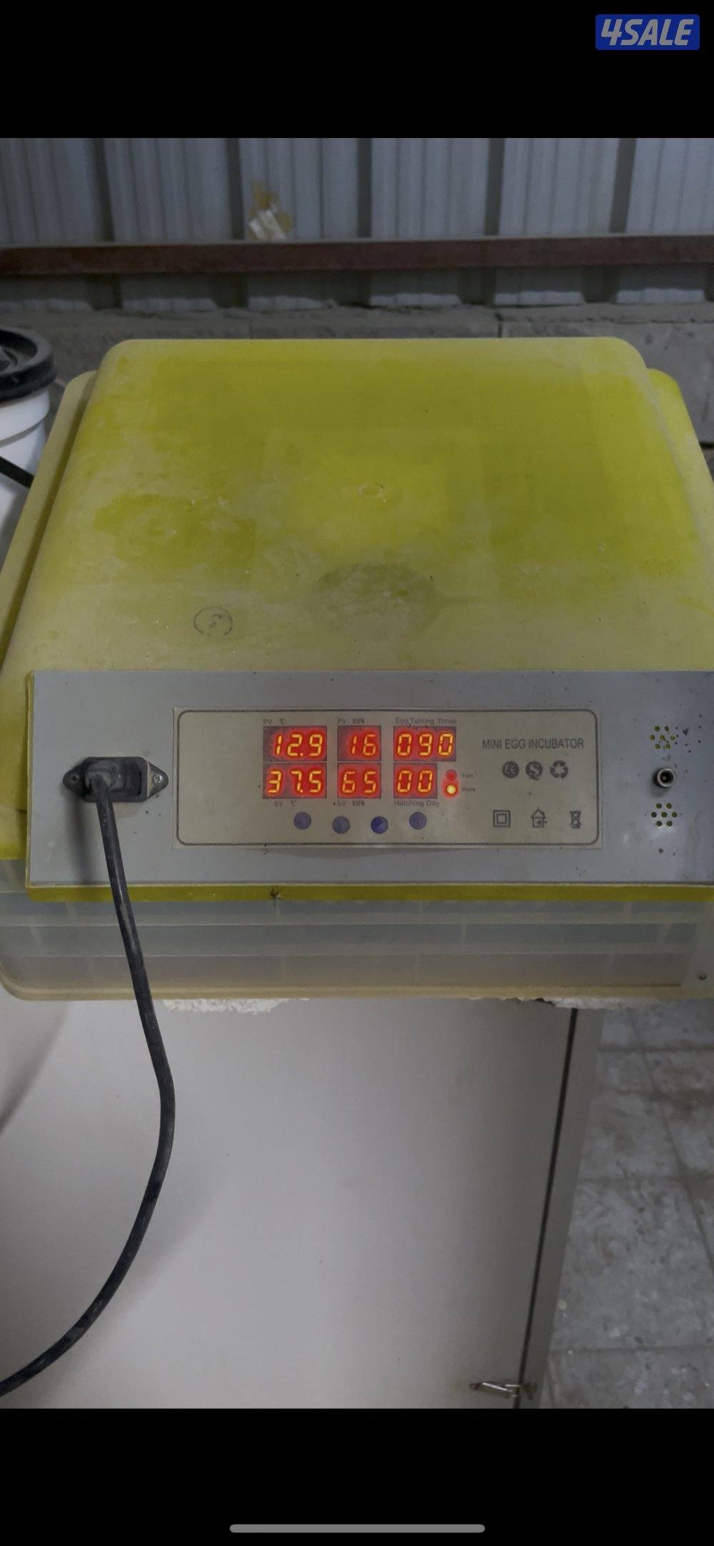 بيعه سريعه للبيع ٤ فغاسات ٢صينيات شقالين  و٢ ابو يوسف باكستاني خربانين0