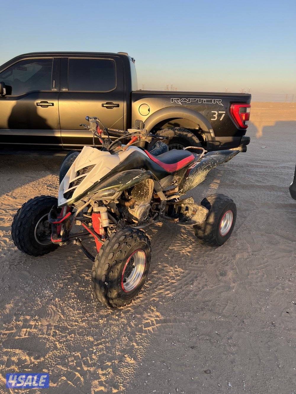 للبيع رابتر1