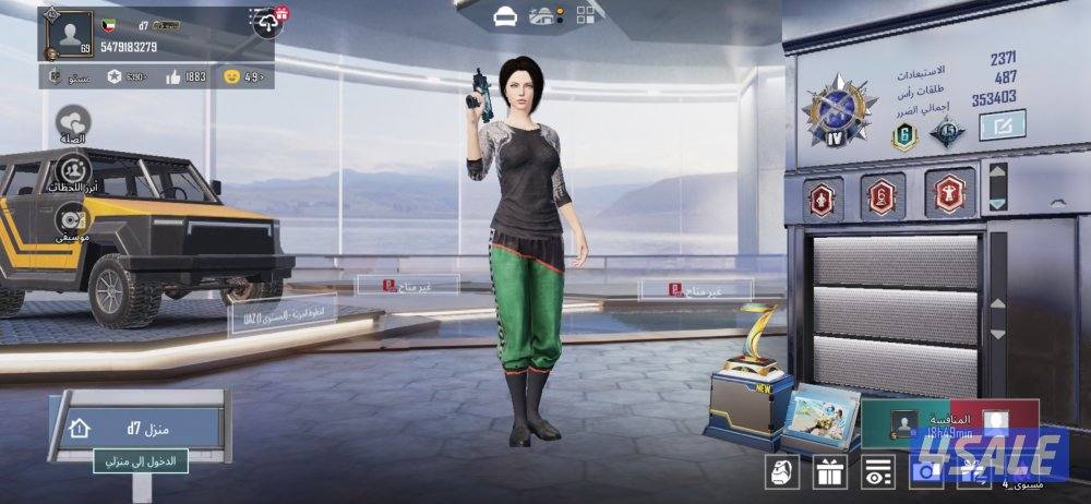 حساب ببجي للبيع6