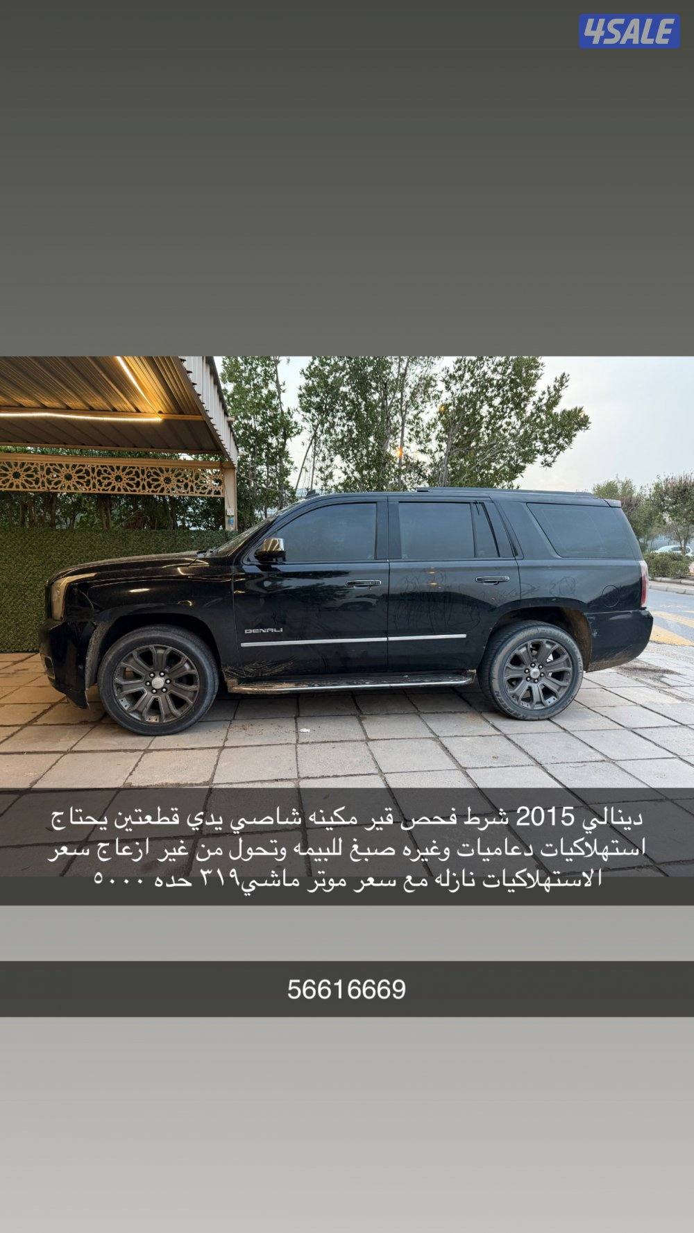 دينالي بهبهاني 20151