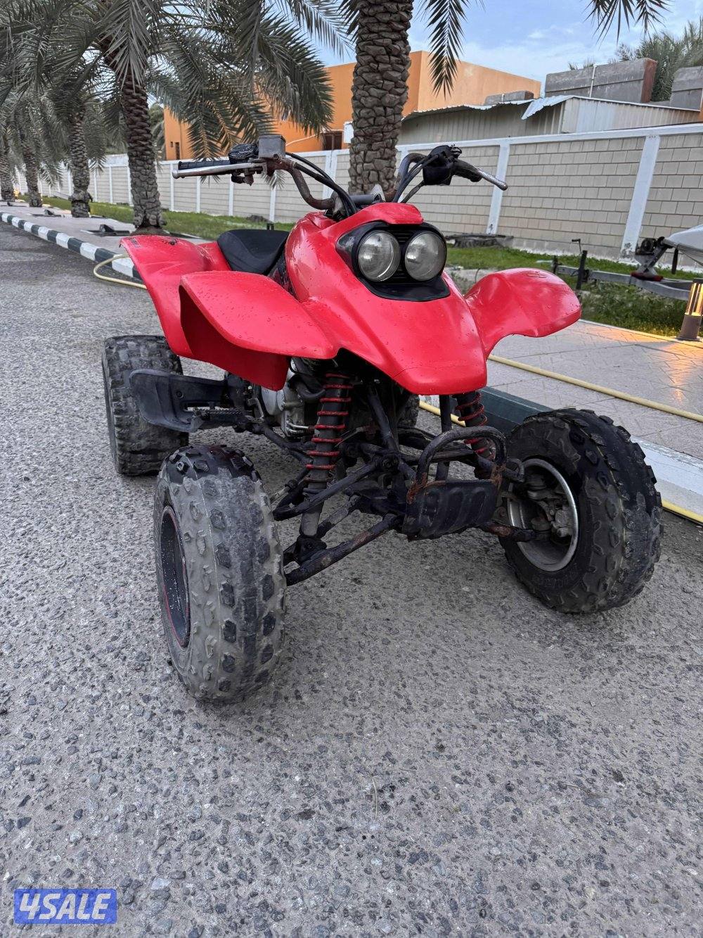 إلى يدور النضيف والنادر1