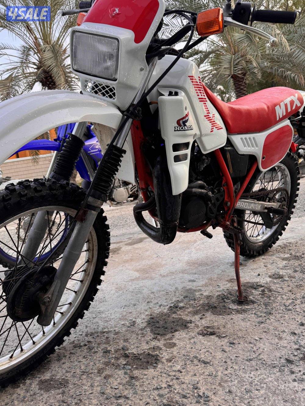 إلى يدور النضيف والنادر3