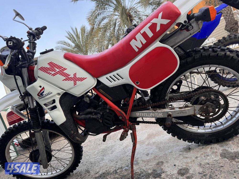 إلى يدور النضيف والنادر5