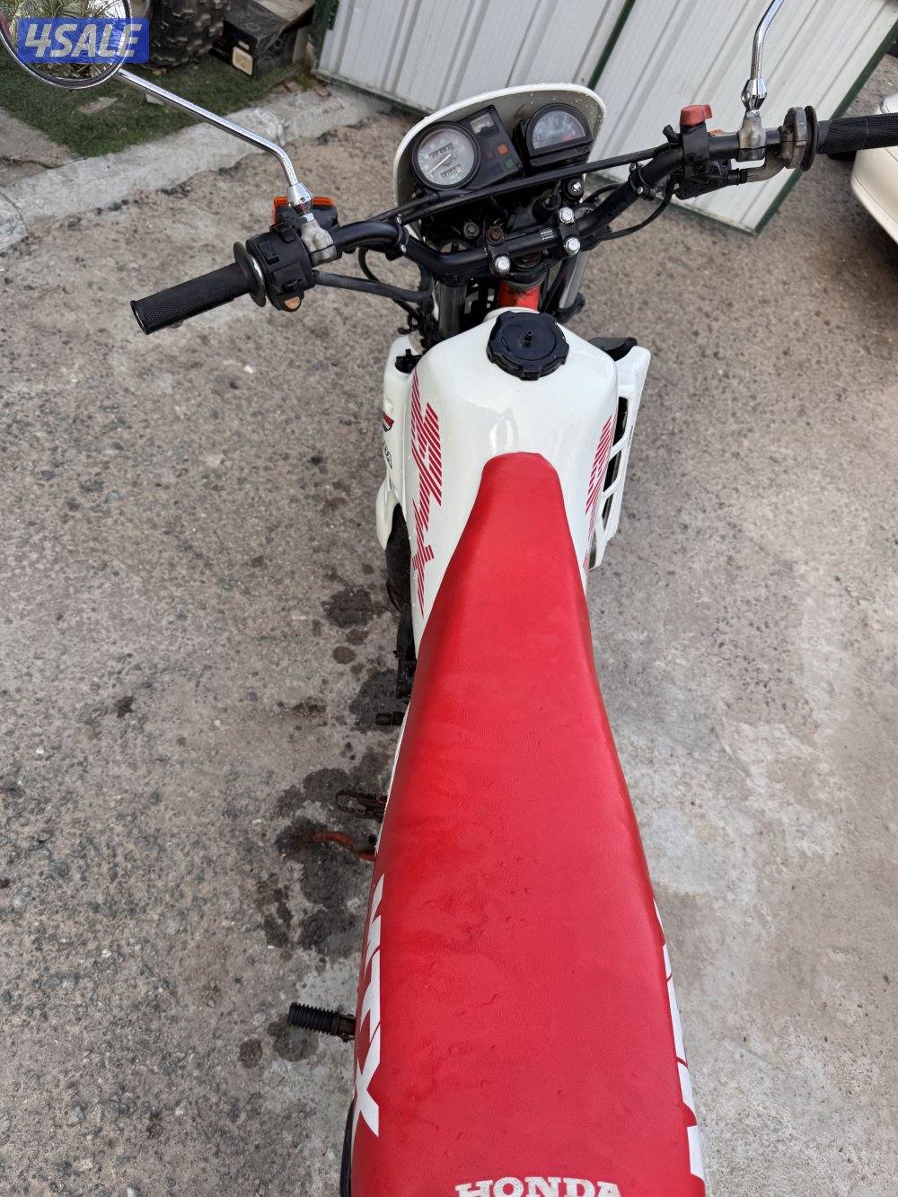 إلى يدور النضيف والنادر6