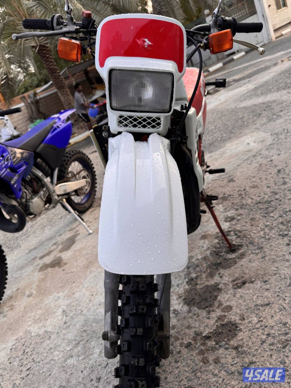 إلى يدور النضيف والنادر8