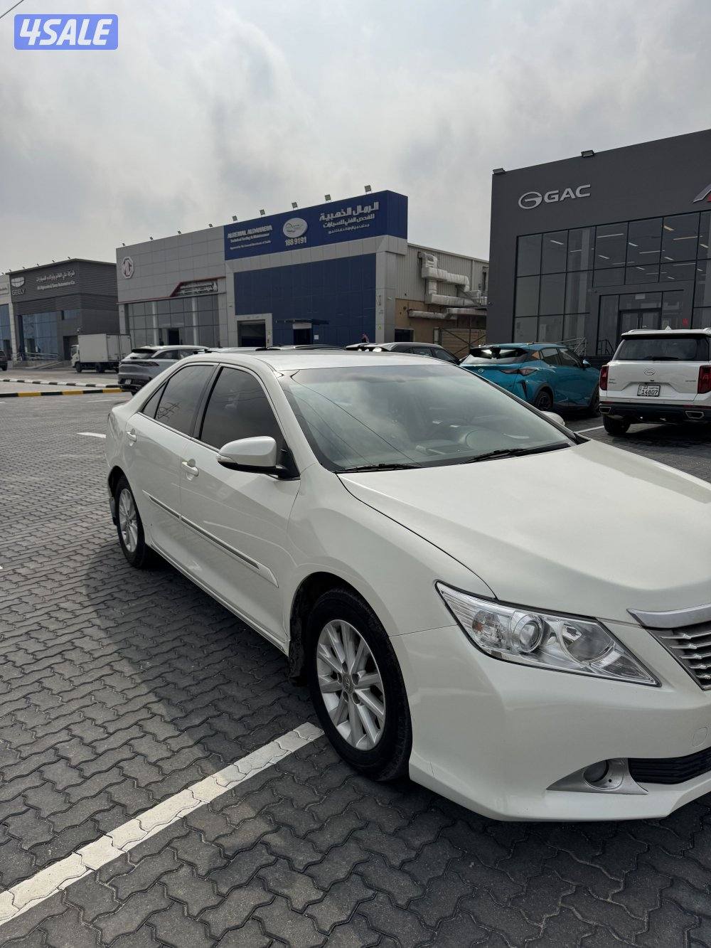 أوريون ٢٠١٣  ( صدفي )0