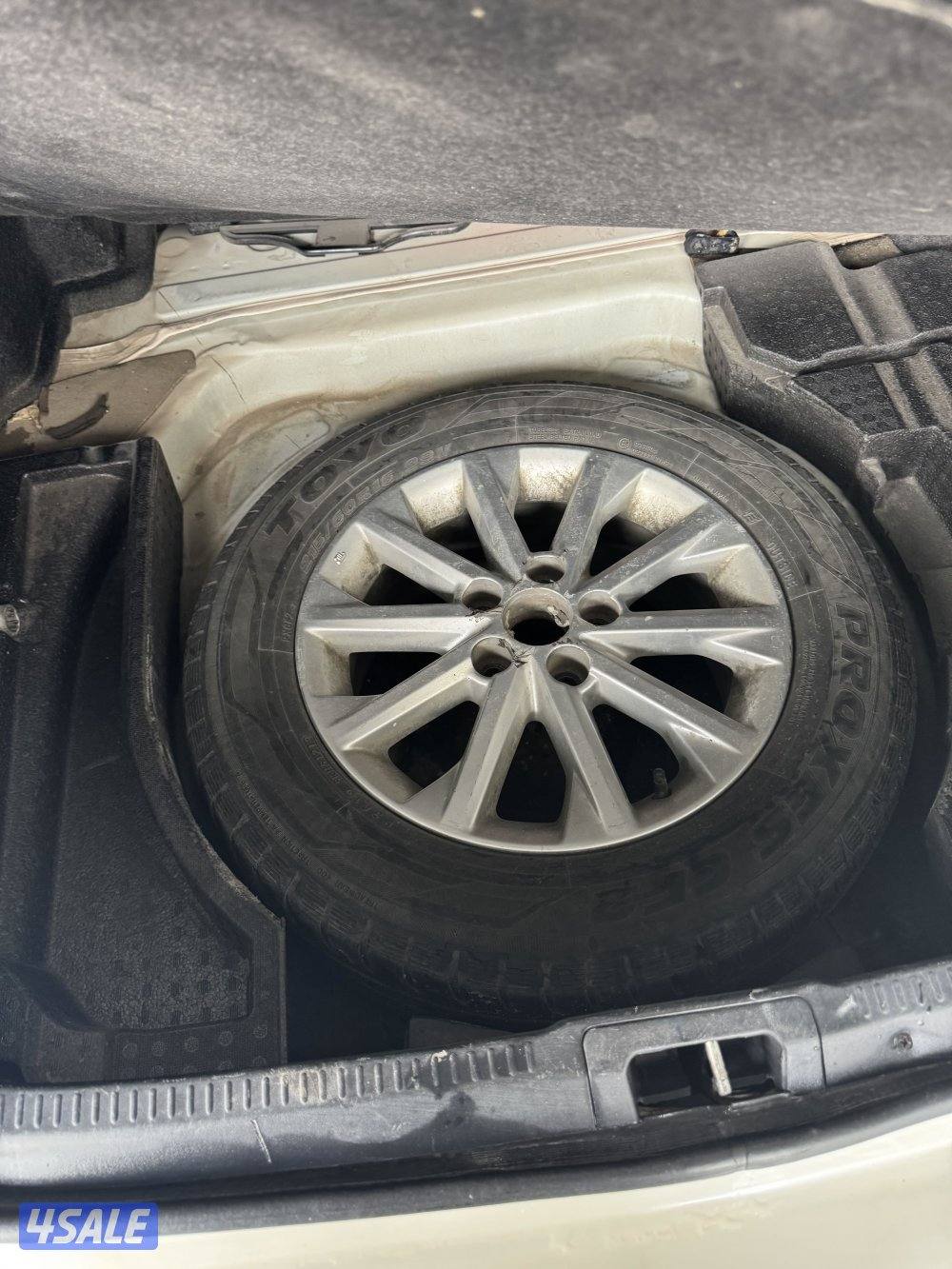 أوريون ٢٠١٣  ( صدفي )12