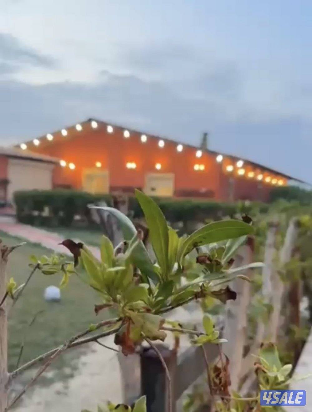 مزرعة العبدلي موقع ممتاز تشطيب Vip0