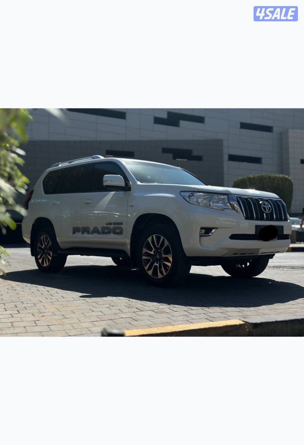 TXL فول ابوشن 20221