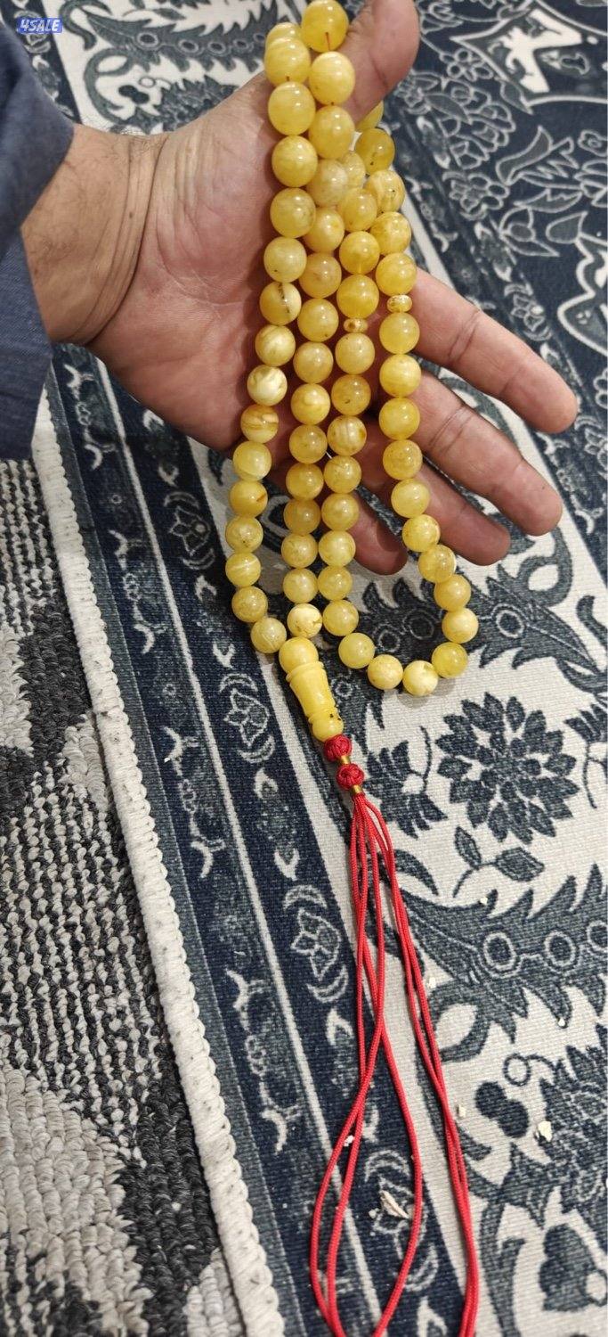 للبيع كهرب بولندي 140 غرام شي فاخر0