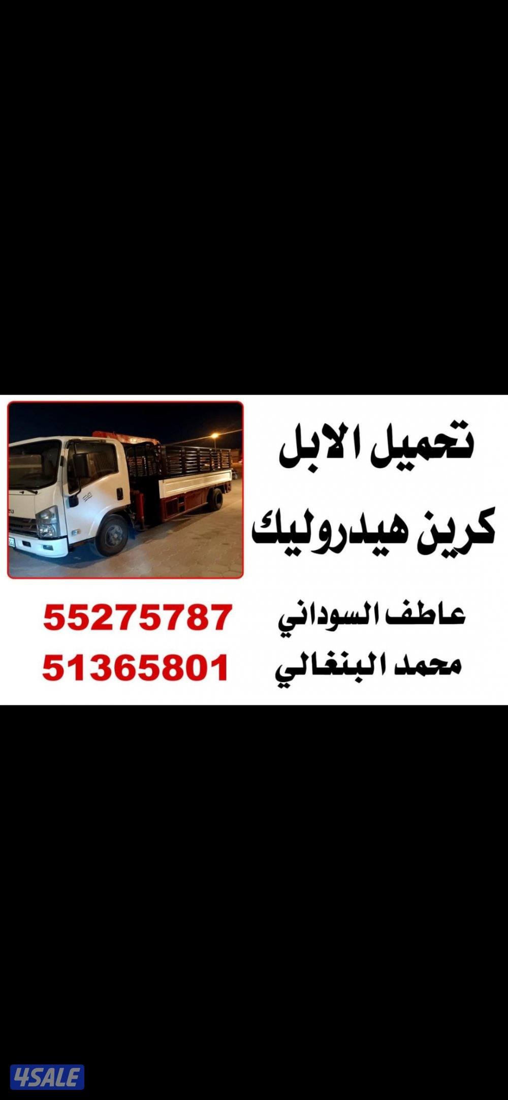 نقل وشراء ابل0