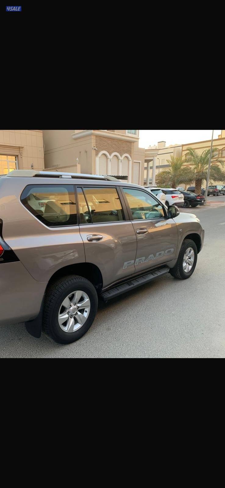 سعد العبدالله0