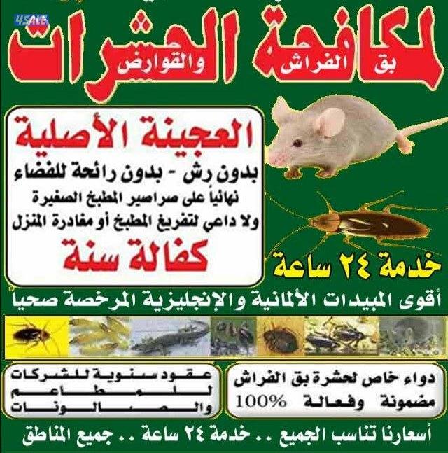 مكافحة جميع الحشرات والقوارض جميع مناطق الكويت0