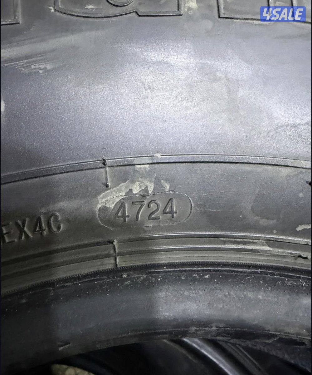 للبيع اربع شواهين هامان ١٦/٩٠٠2