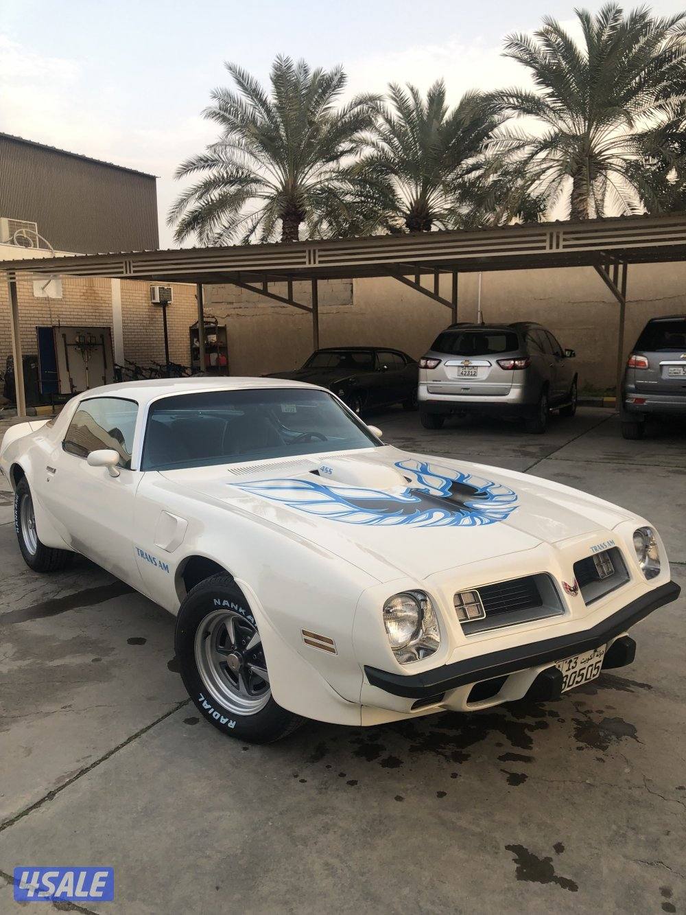 1975 Trans Am Engine 455 4 speed0