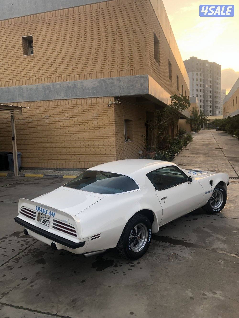 1975 Trans Am Engine 455 4 speed9