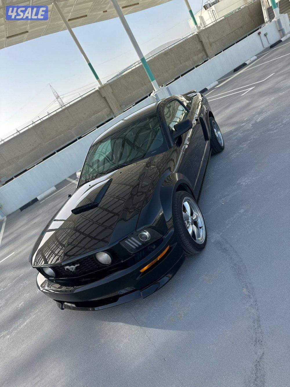 للبيع موستنق ٢٠٠٧1