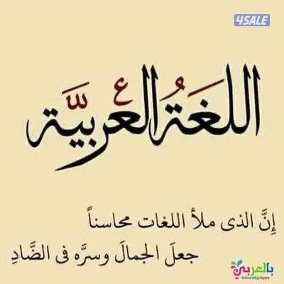 معلمة لغة عربية خبرة في تأسيس طلاب المرحلة الابتدائية8