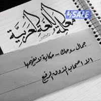 معلمة لغة عربية خبرة في تأسيس طلاب المرحلة الابتدائية15