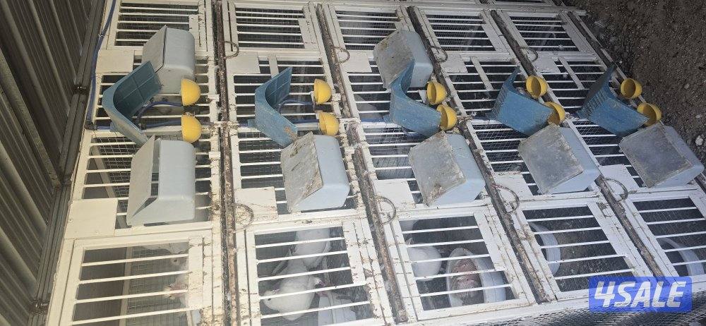 للبيع  ٦ خانة ام ١٠2