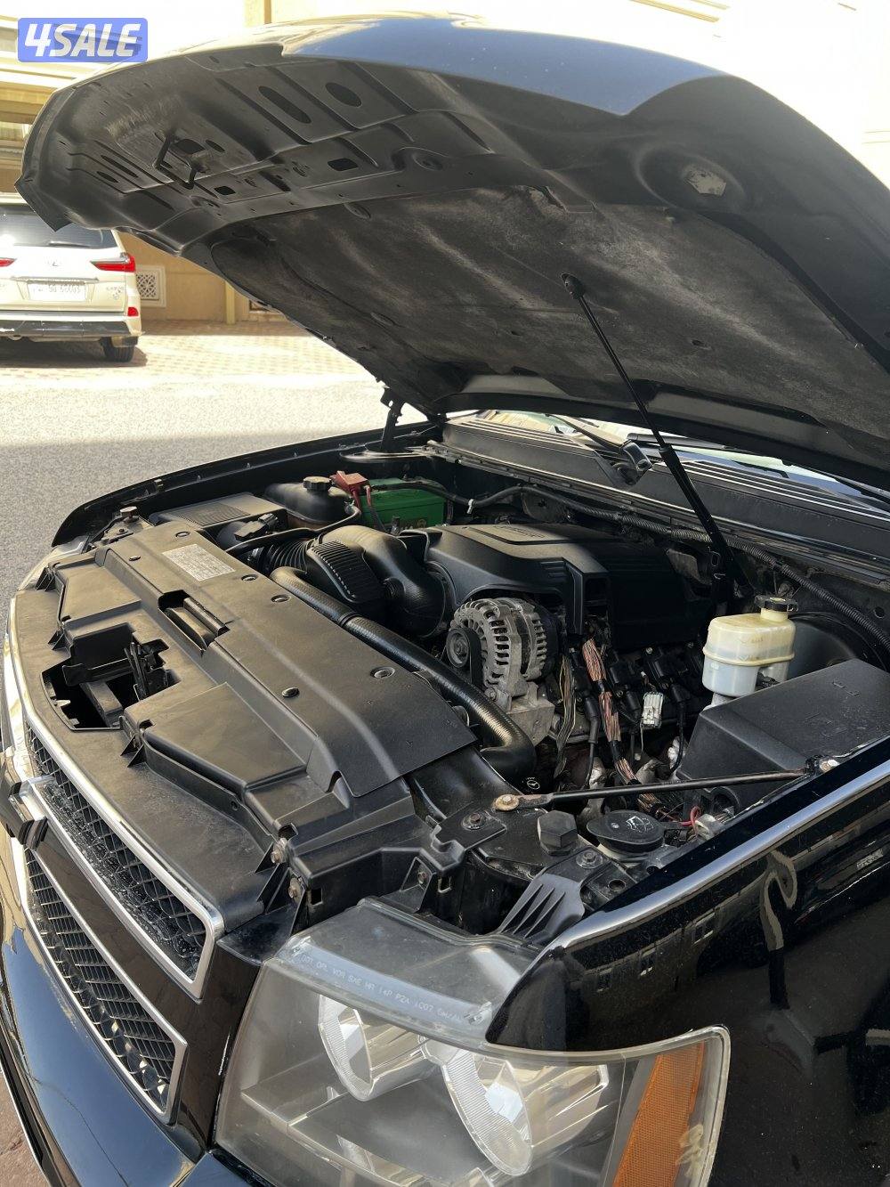 صبغ الوكالة بالكامل10