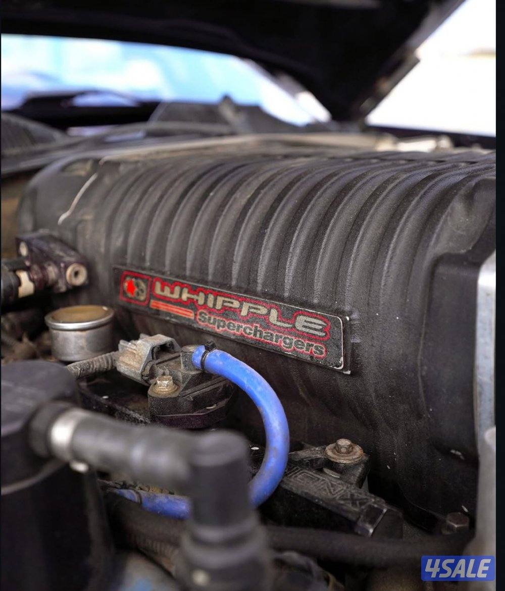 مبارك الكبير5