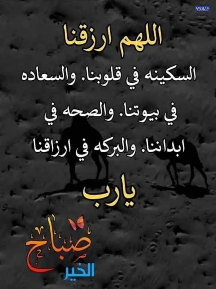 يمني مواليد الكويت أجيد اللغة الانجليزيه والكمبيوتر ولدي ليسن كويتي0