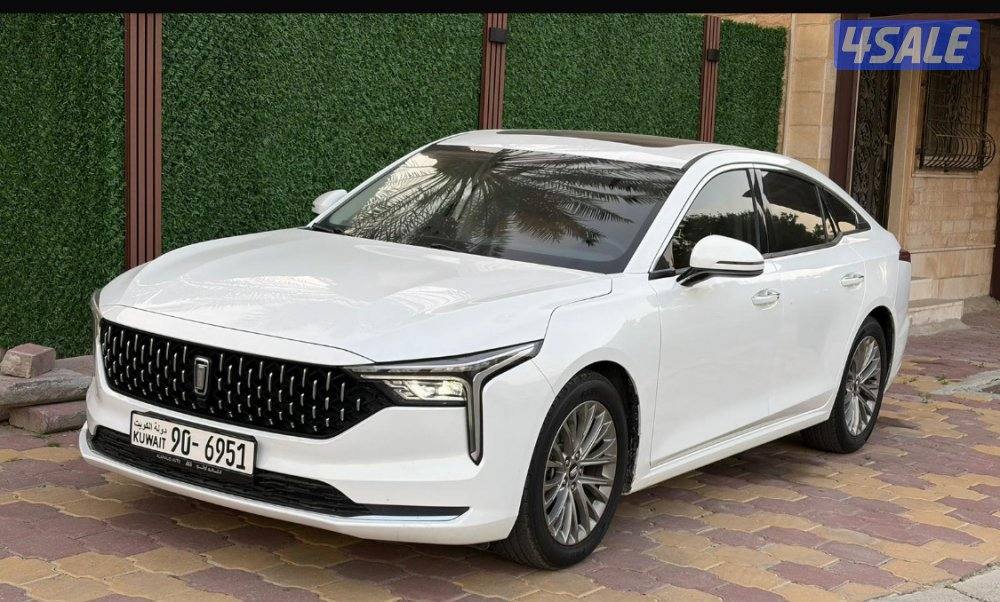 شرط الفحص قابل للمساومة بالمعقول صبغ وكاله توها طالعه من السيرفس الاول3