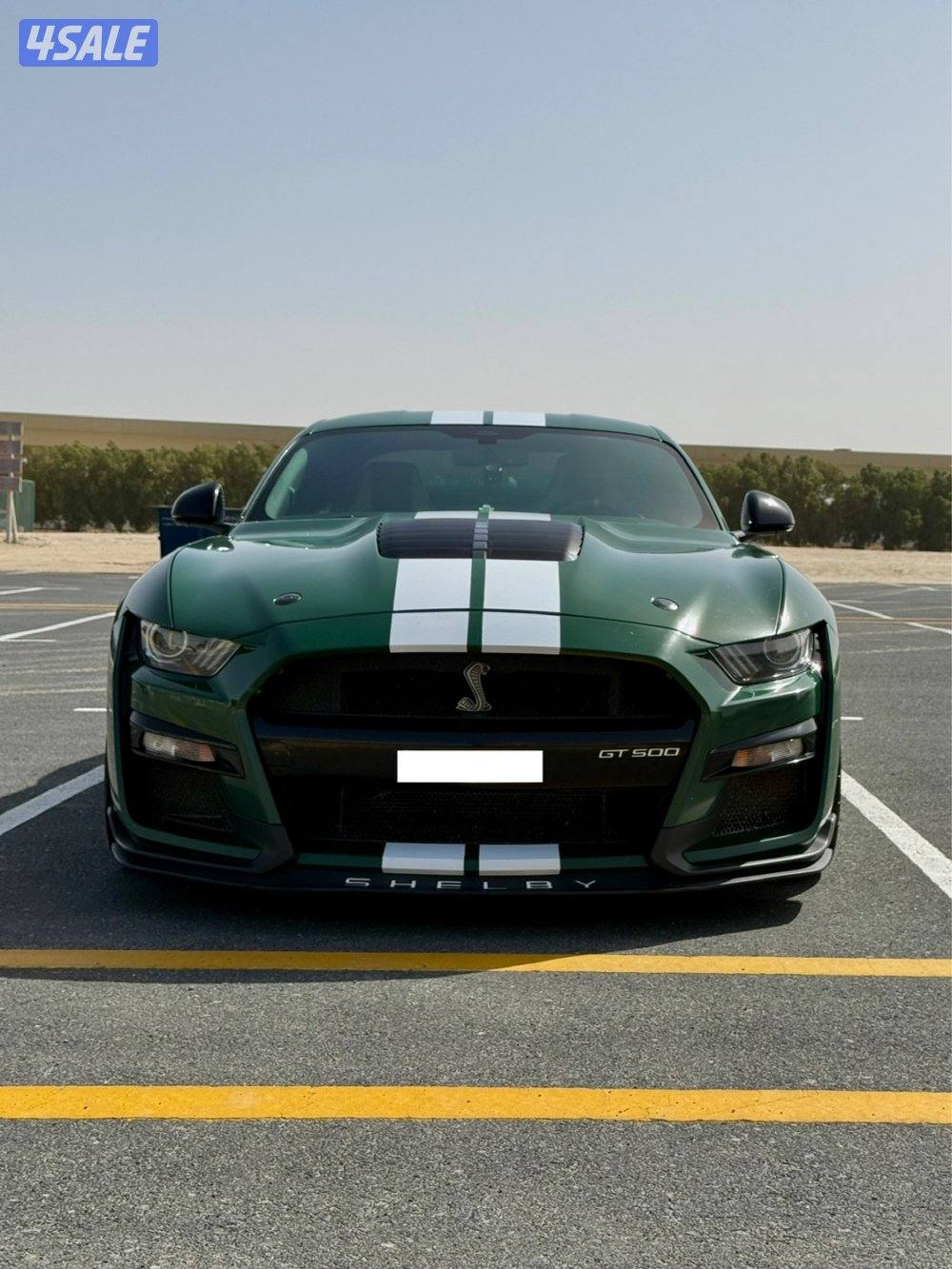 Shelby GT500 221