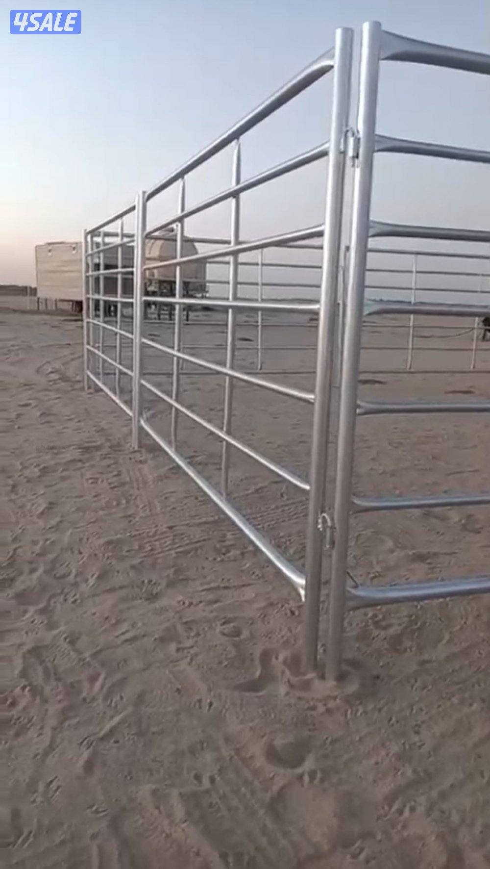 للبيع شبوك ابل قلفنايز الارتفاع ١٨٠ العرض ٣ متر0