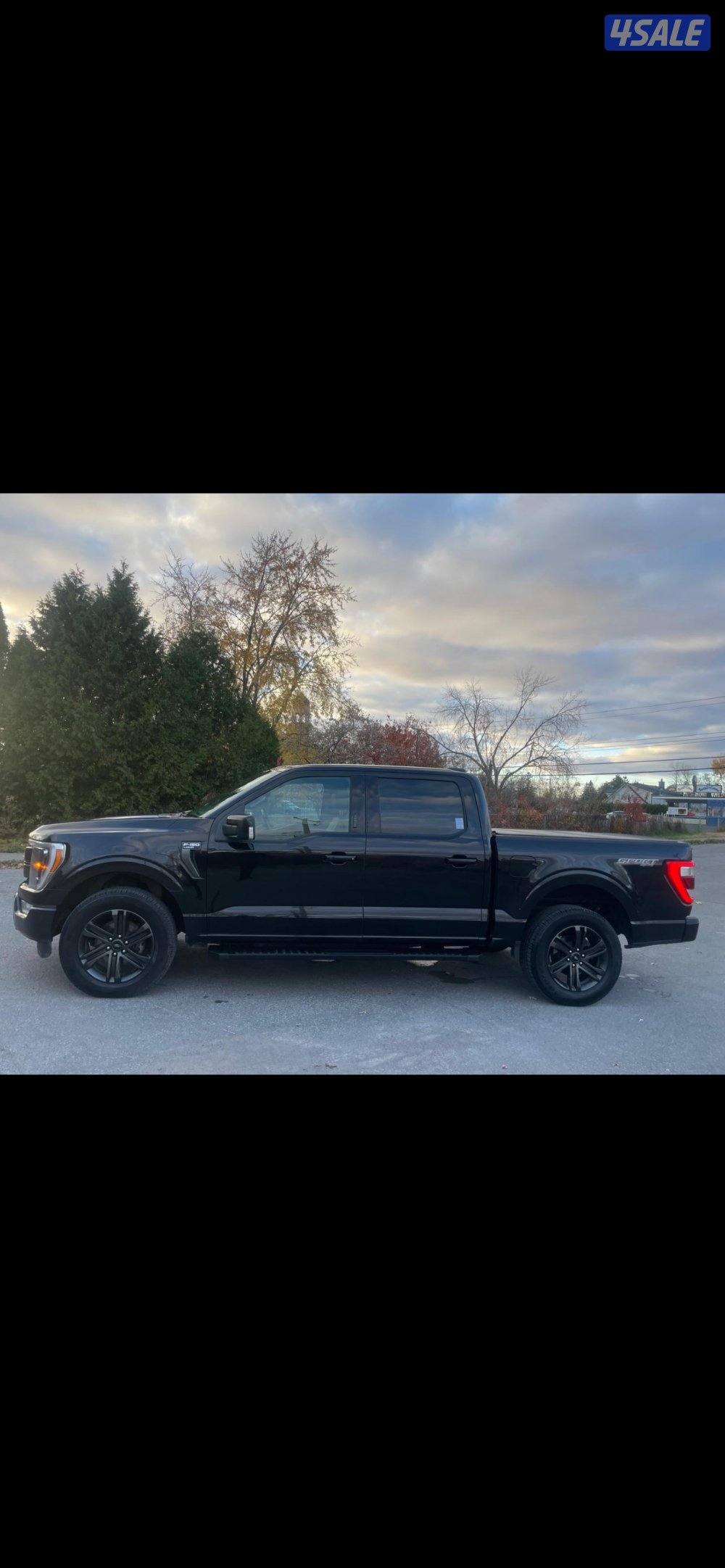 وانيت فورد لاريت1