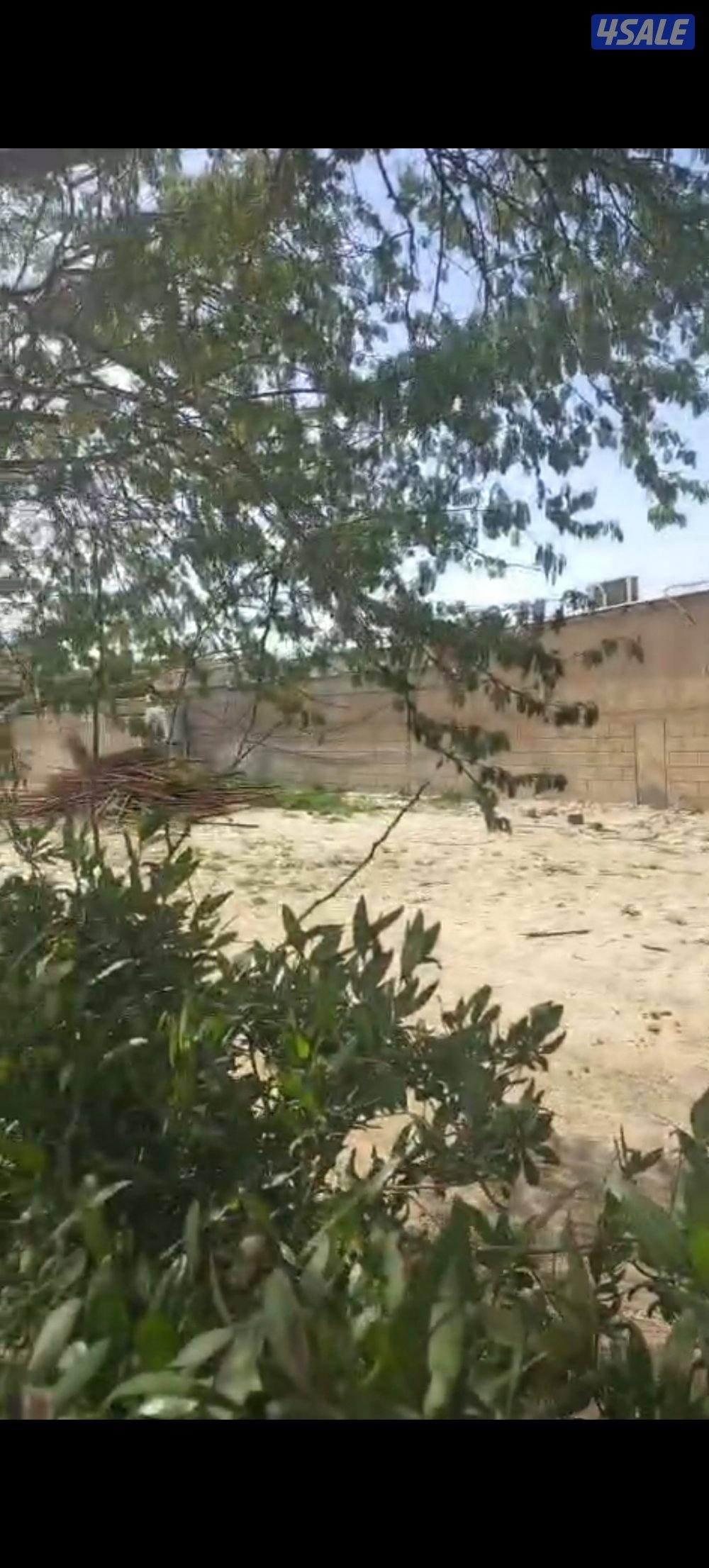 للبيع  الجاخور كبد ٢٥٠٠م ق٢1